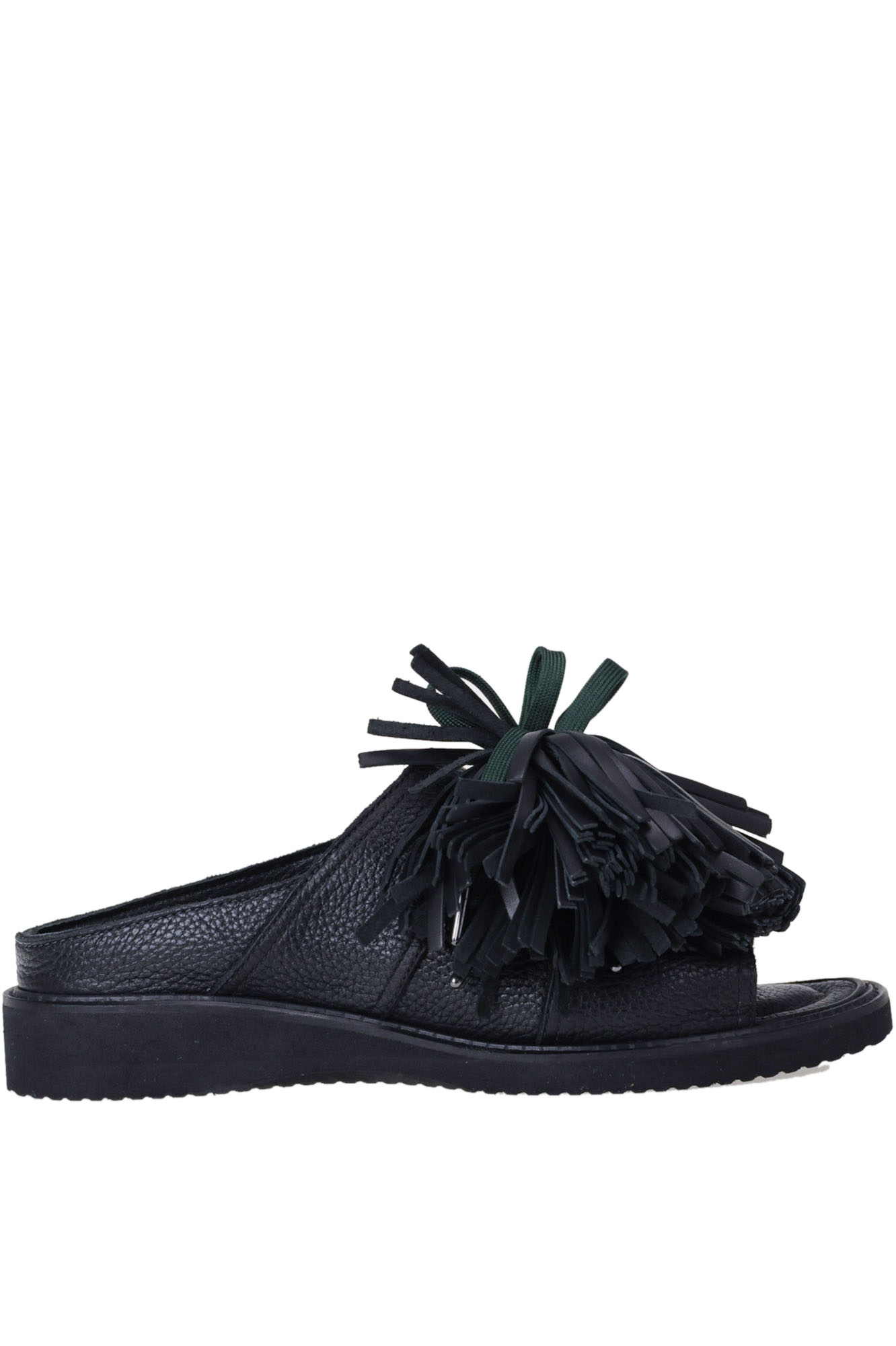 zucca slides
