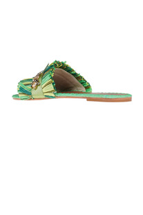 Ava slides De Siena
